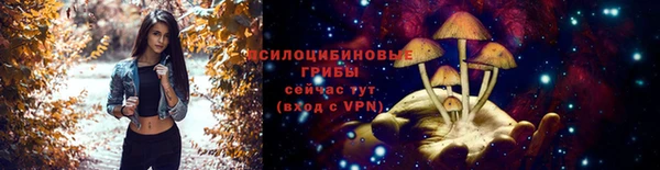 mdma Зерноград