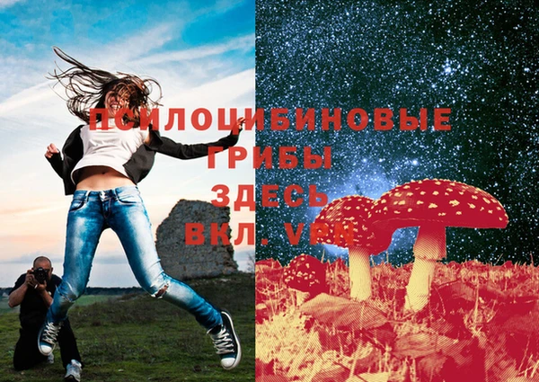 сатива Зеленодольск