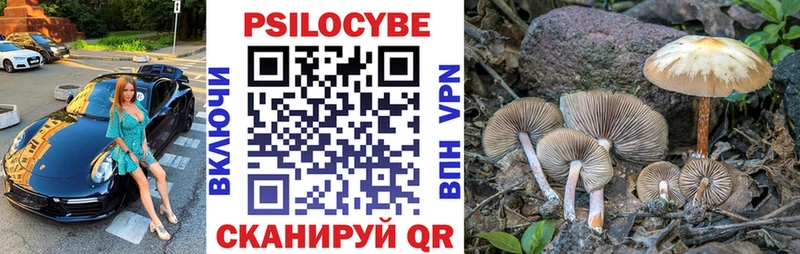 Псилоцибиновые грибы Psilocybine cubensis  Купить  Мглин 